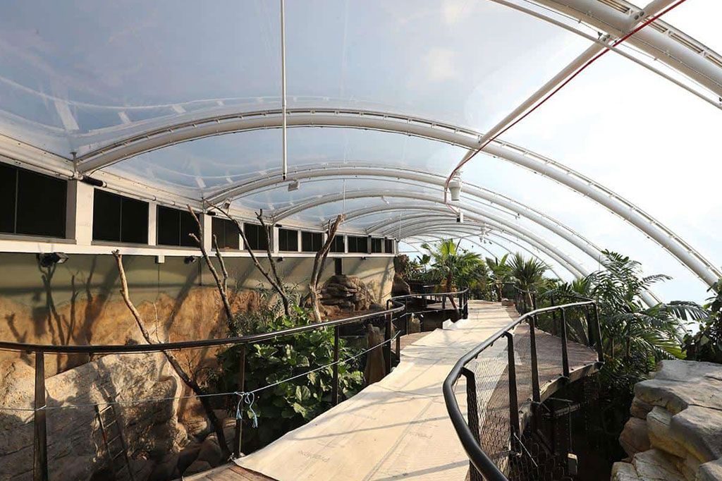 ETFE Building Roof