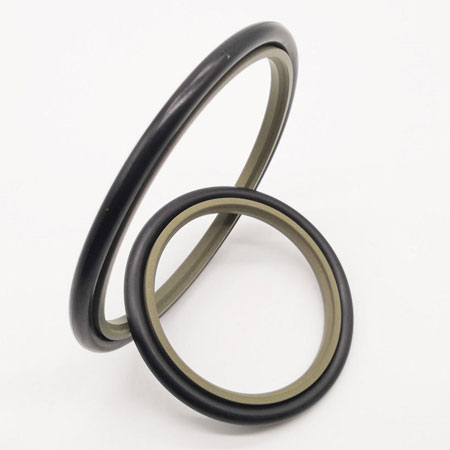 Bronze Filled PTFE Seal