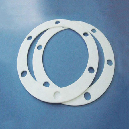 PTFE Flange Gasket