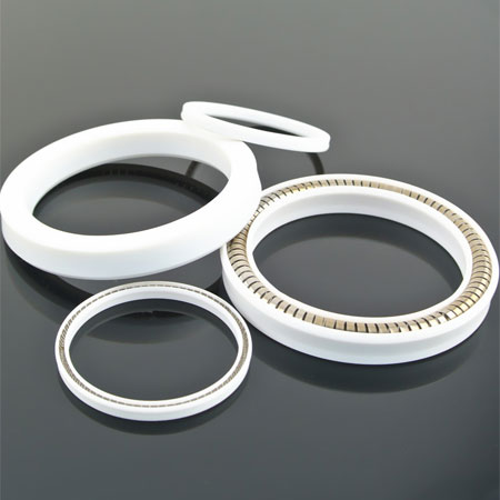 Spring Energized PTFE Seals