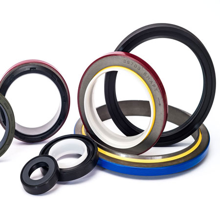 PTFE Seal Rings